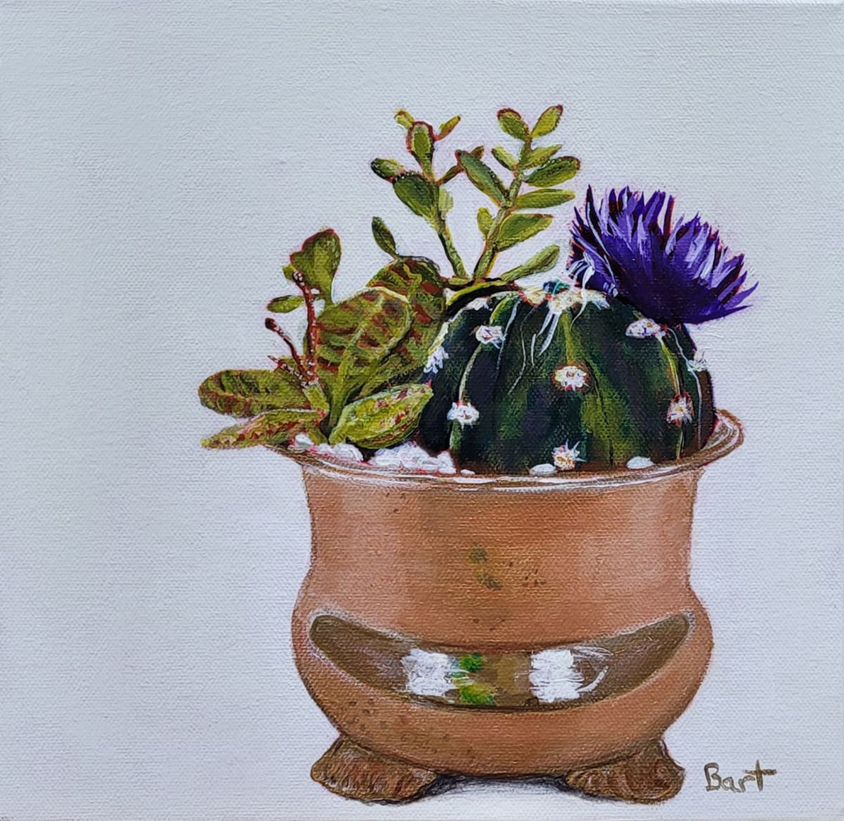 Desert Garden by Sylvie Bart, Image 1.