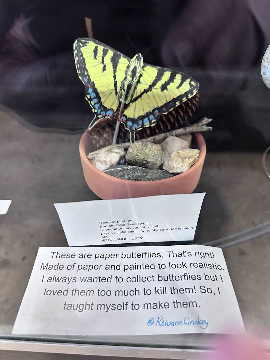 Female Tiger Swallowtail by Angelia Wilson, Image 1.