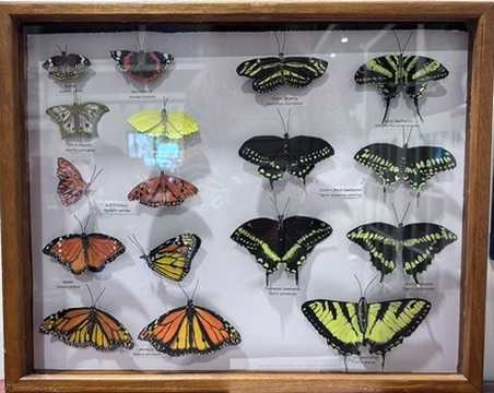Collections with Conscience by Angelia Wilson, Image 1.