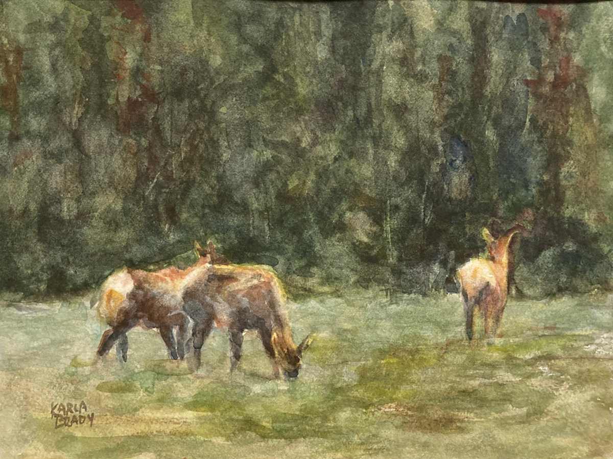 Yellowstone Elk by Karla Brady 