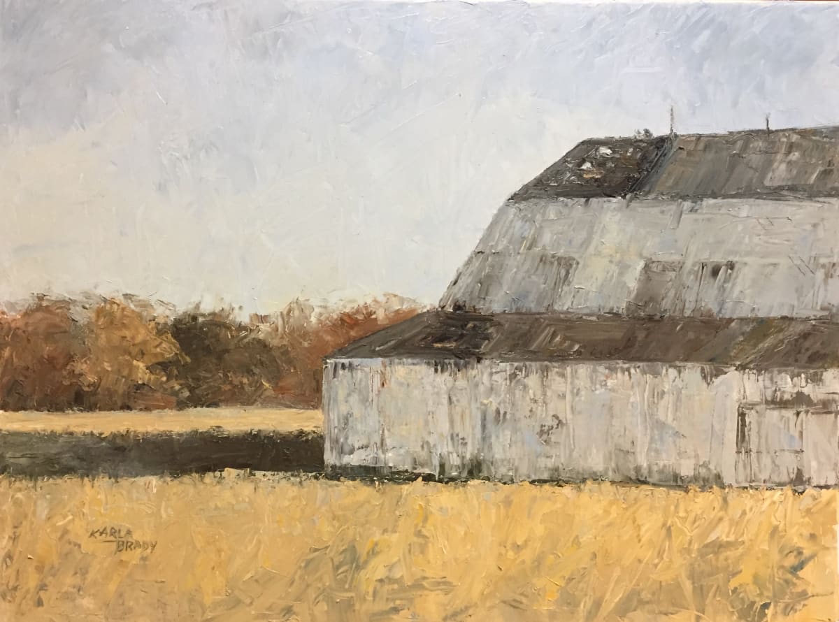 Barn Shadows by Karla Brady 