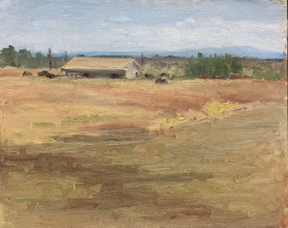 Where the Buffalo Roam by Karla Brady 