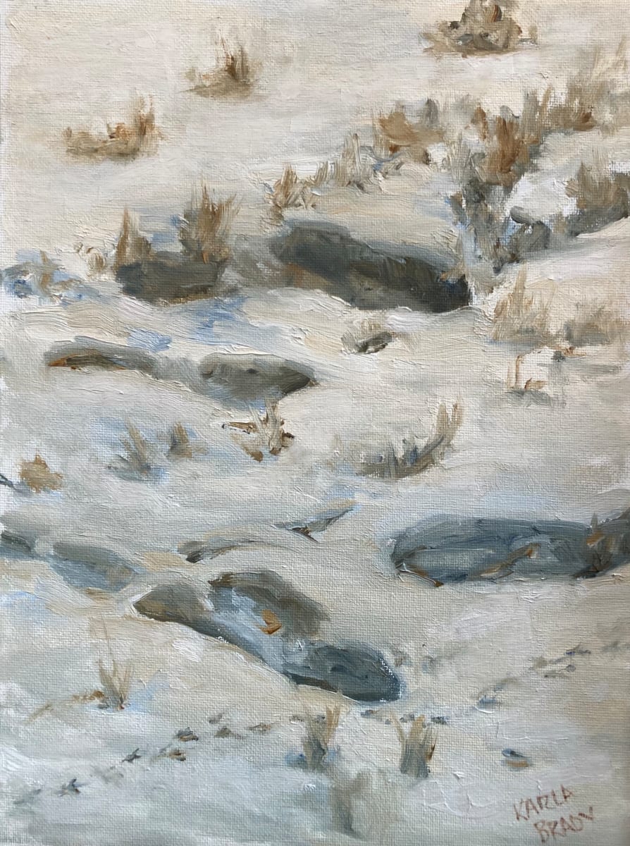 Footprints in Snow by Karla Brady 