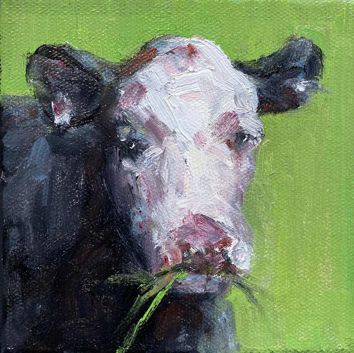 A Pretty Face by Karla Brady 