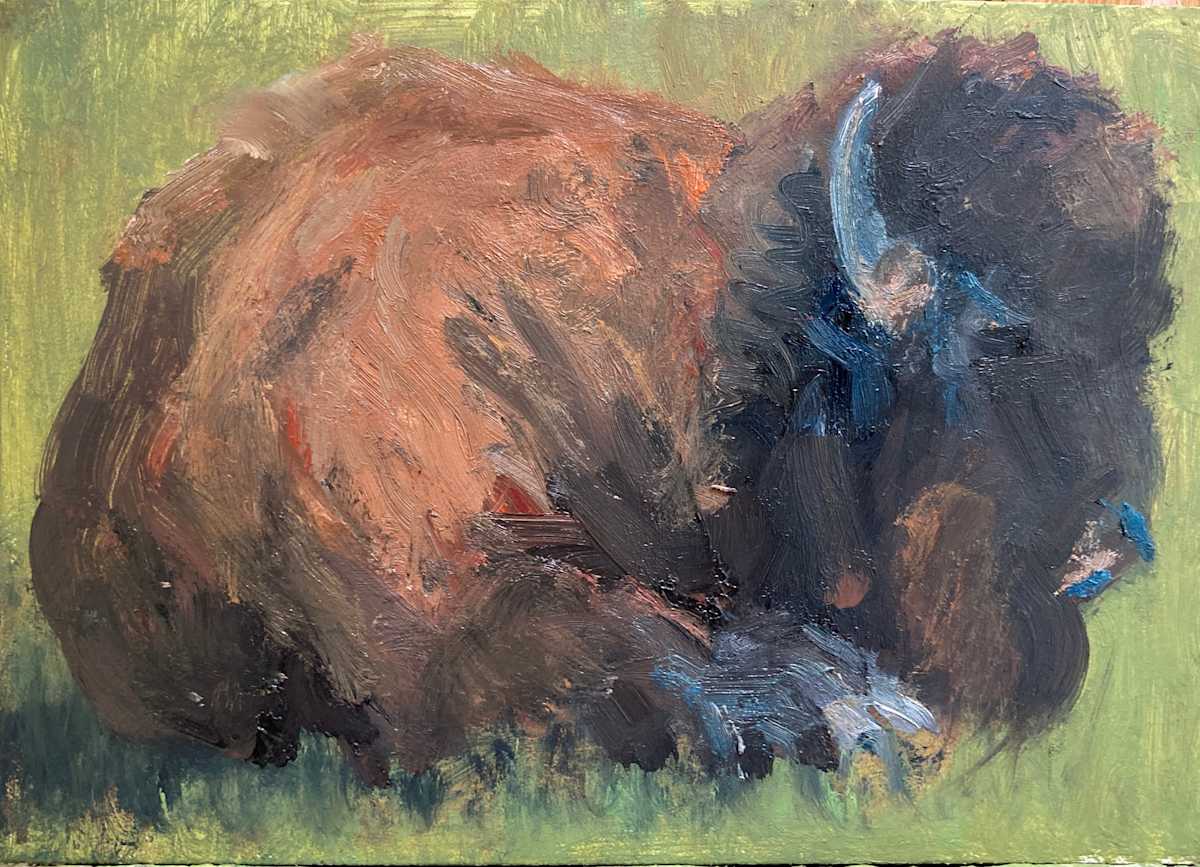 A Little Bull by Karla Brady 