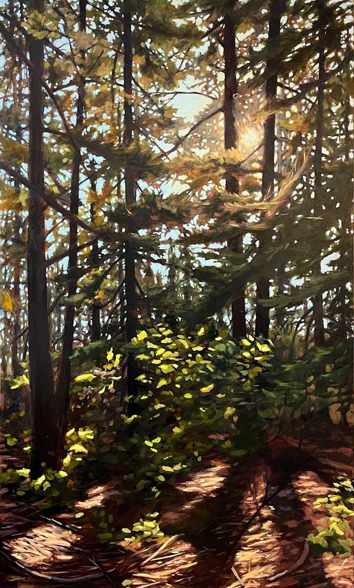 Through the Trees by Amber Bryans 