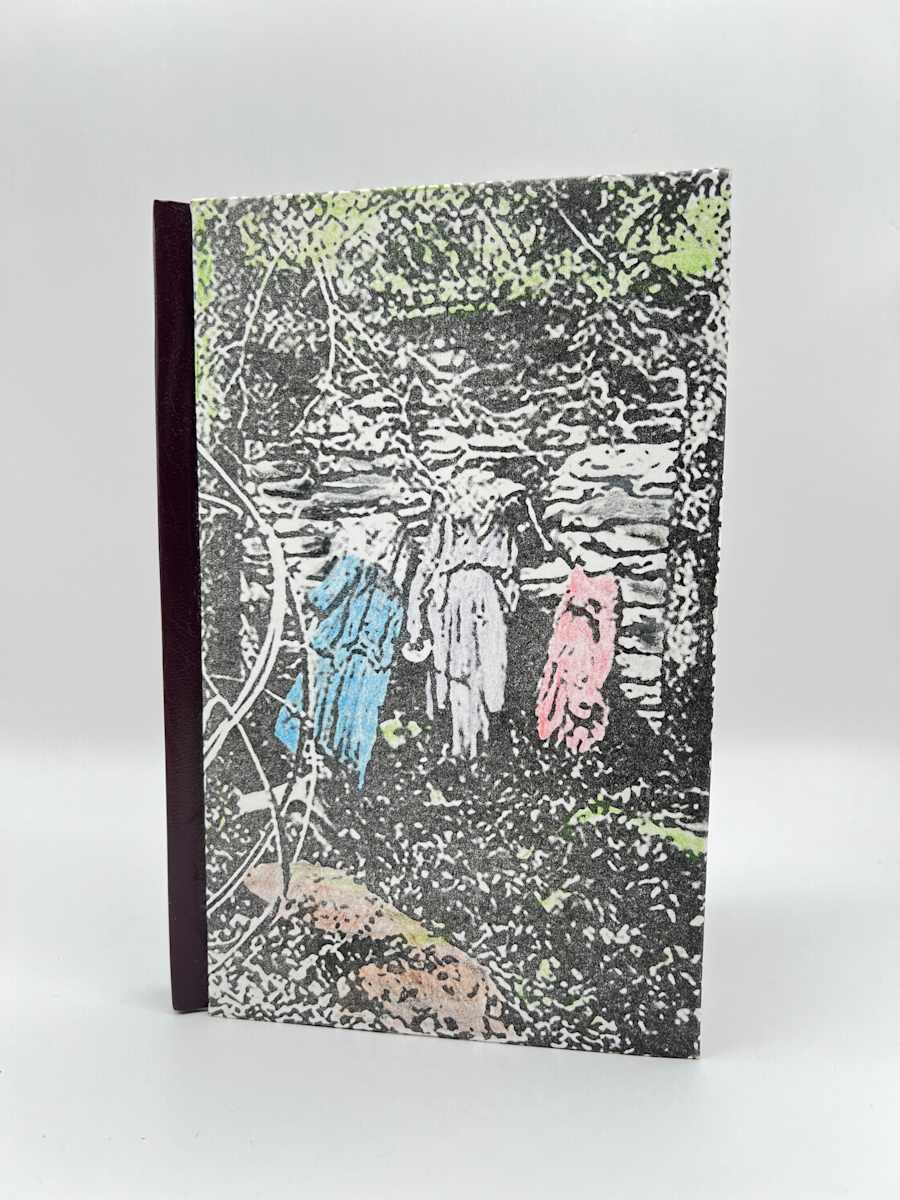 Journal Book - The Woman by Kelly K. Pontoni 