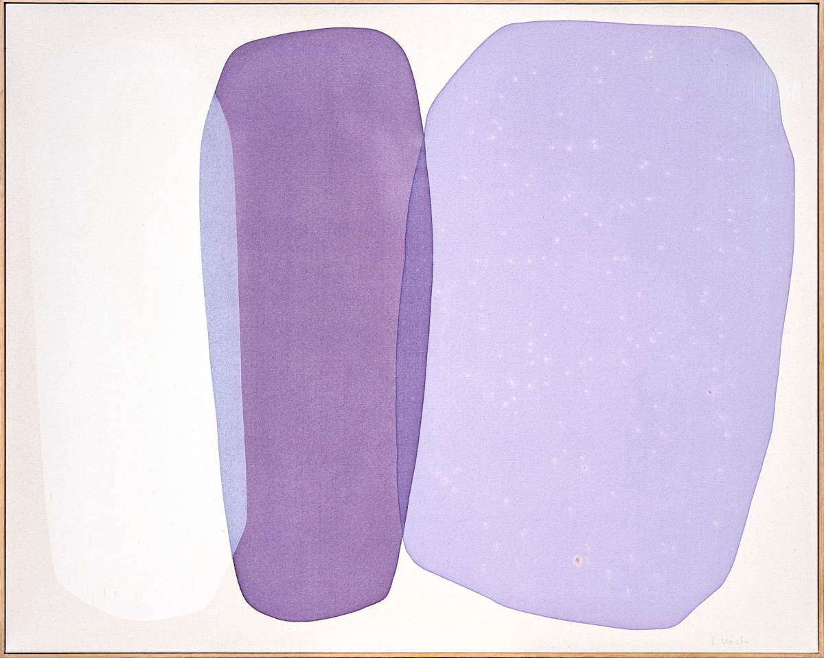 elderberry by Simone Christen 