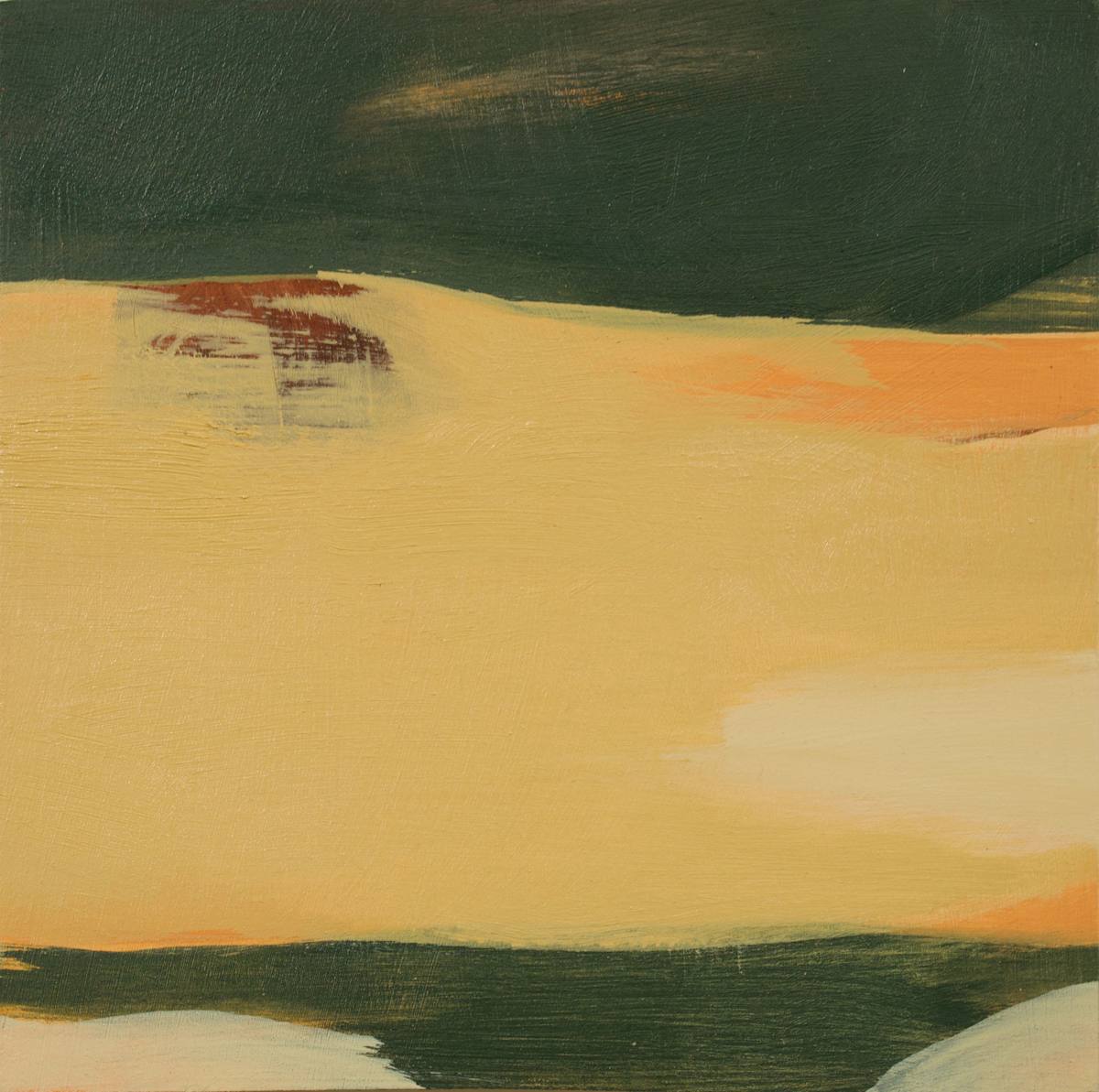 Land Diary VII by Annie Norbeck 