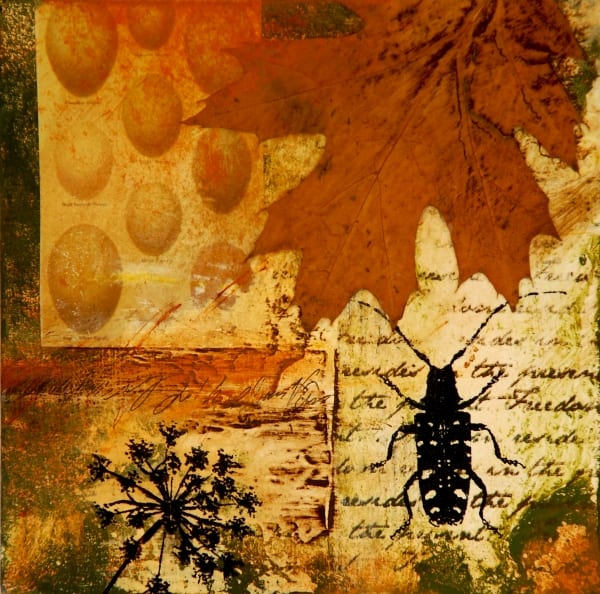Beetle Bug & Birds' Eggs 