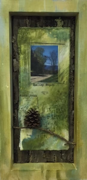 Waids Woods-Blue Ridge Turnpike 