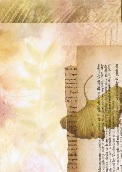 EcoPrint Boxes #11, Image 1.