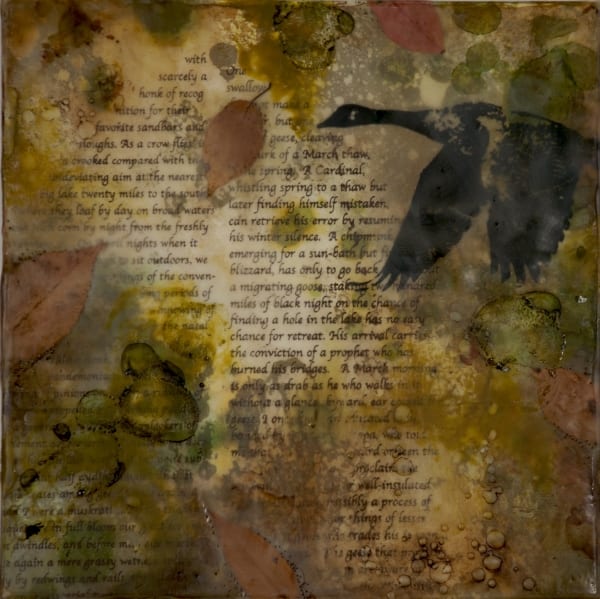 Arriving Geese by Cheryl Holz 