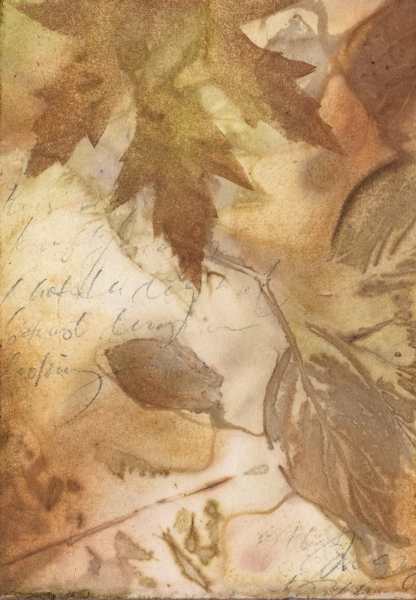 EcoPrint Boxes #7, Image 1.