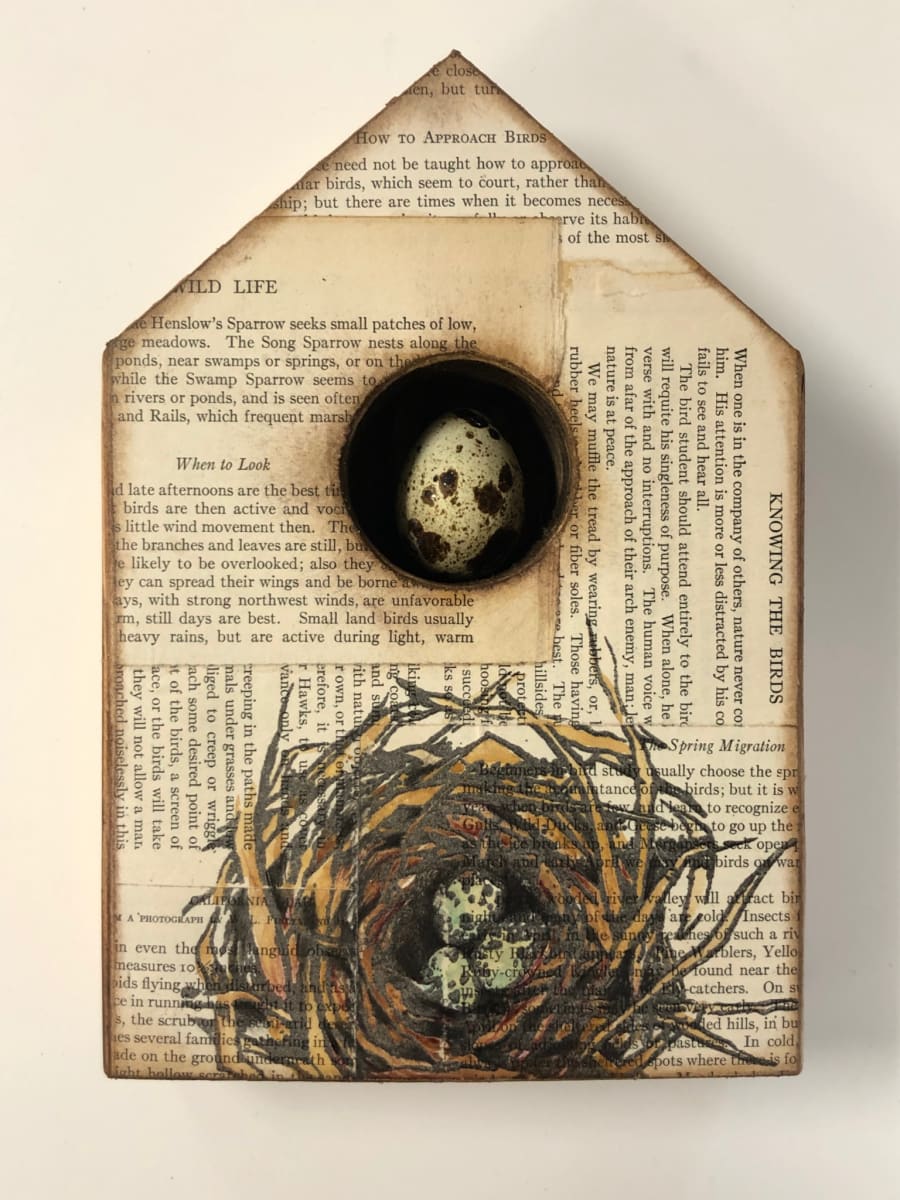 Bird Auction-Reading Nest 