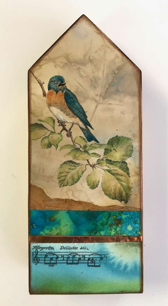 Bird Auction- Eastern Bluebird Song, Image 1.