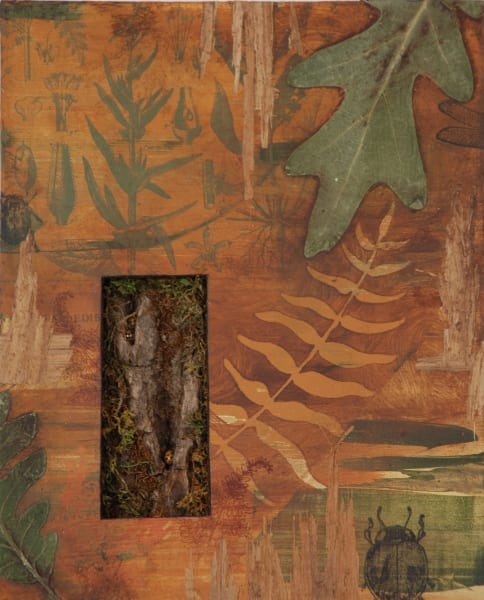 Forest Harvest: Bark 