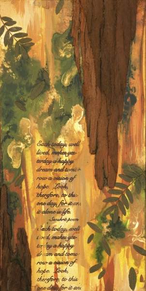 Eucalyptus Sanskrit, Image 1.