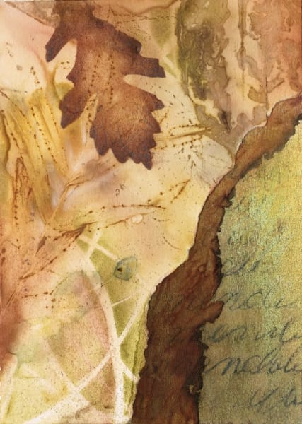 EcoPrint Boxes #15 