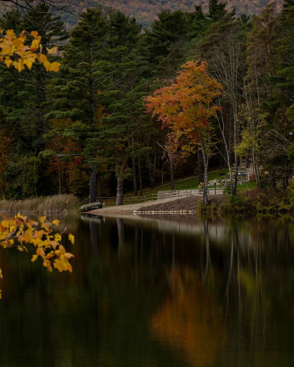 Serenity by Lacey Nobles 