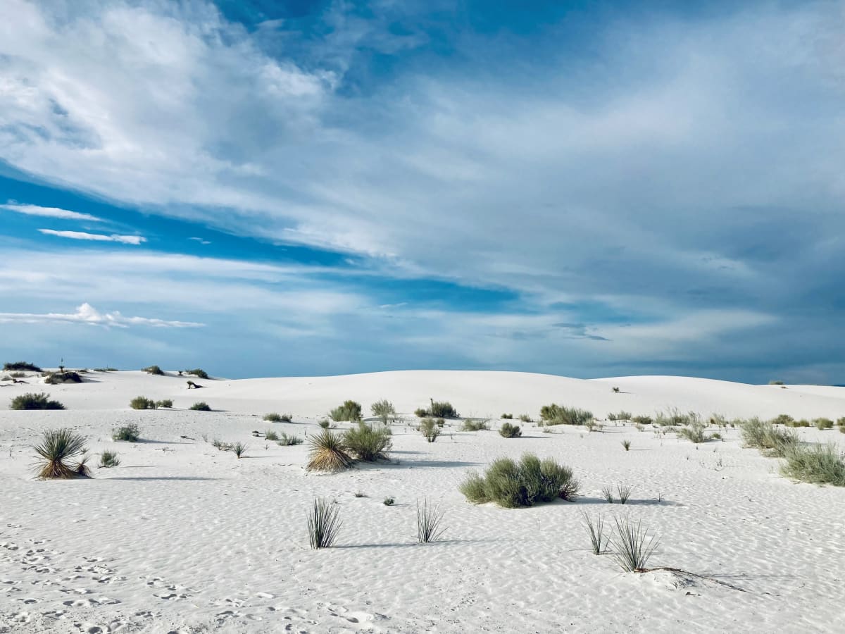 White Sand Dune by Alphonse Brown 