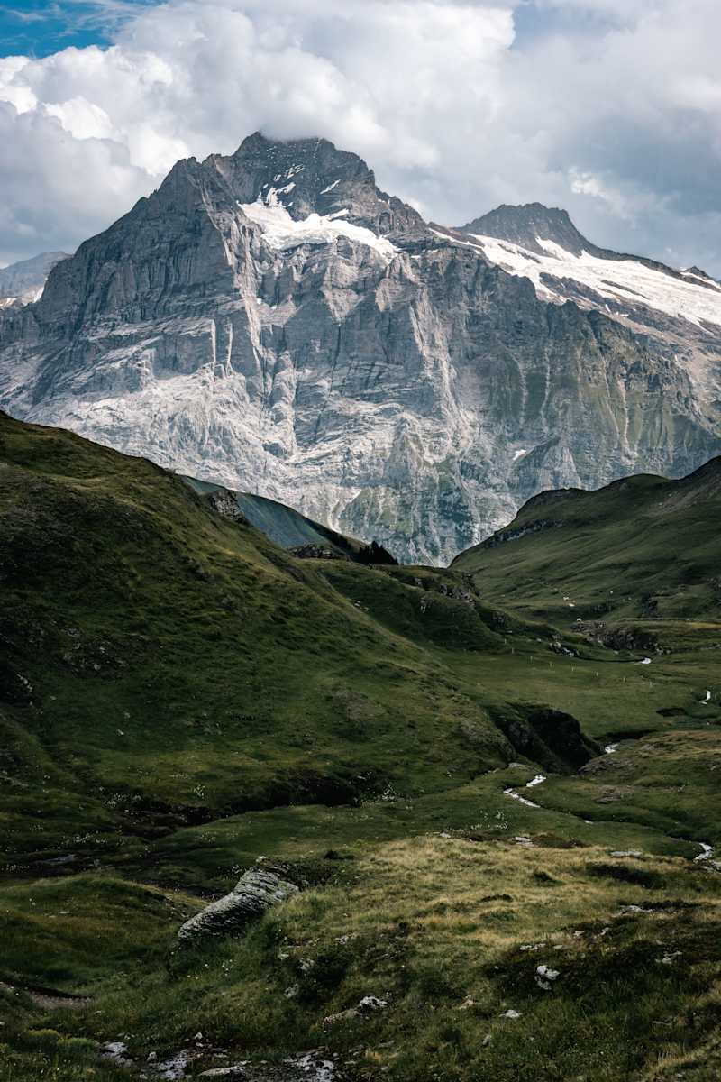 Where Time Rests by Lacey Nobles 