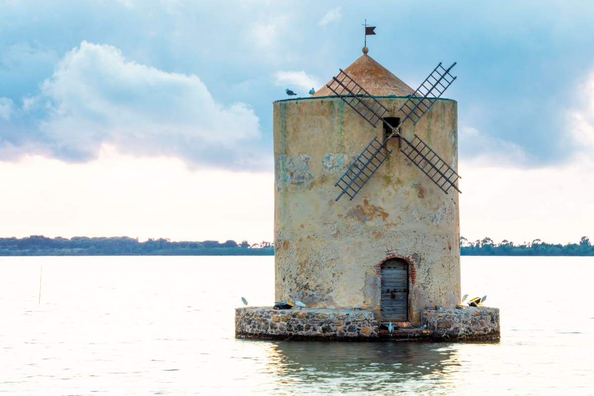 Spanish Windmill by Andrea Duchini, MD 