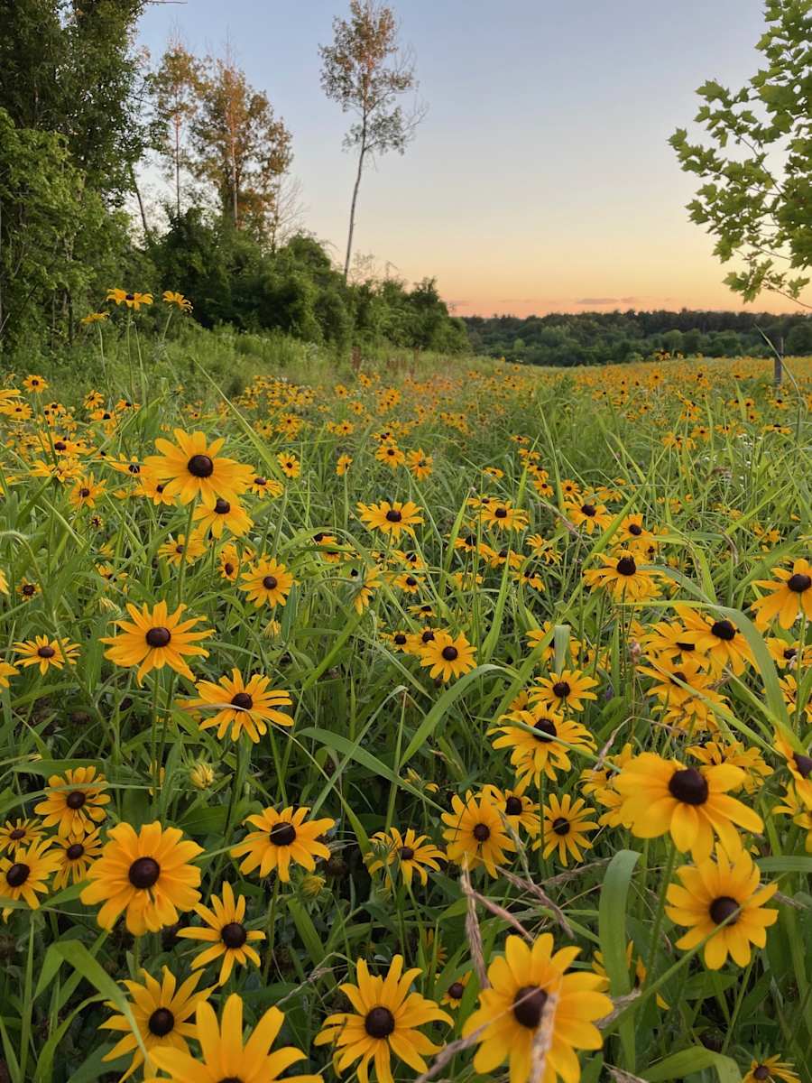 Flower Power by Amber Zatopek, RN 