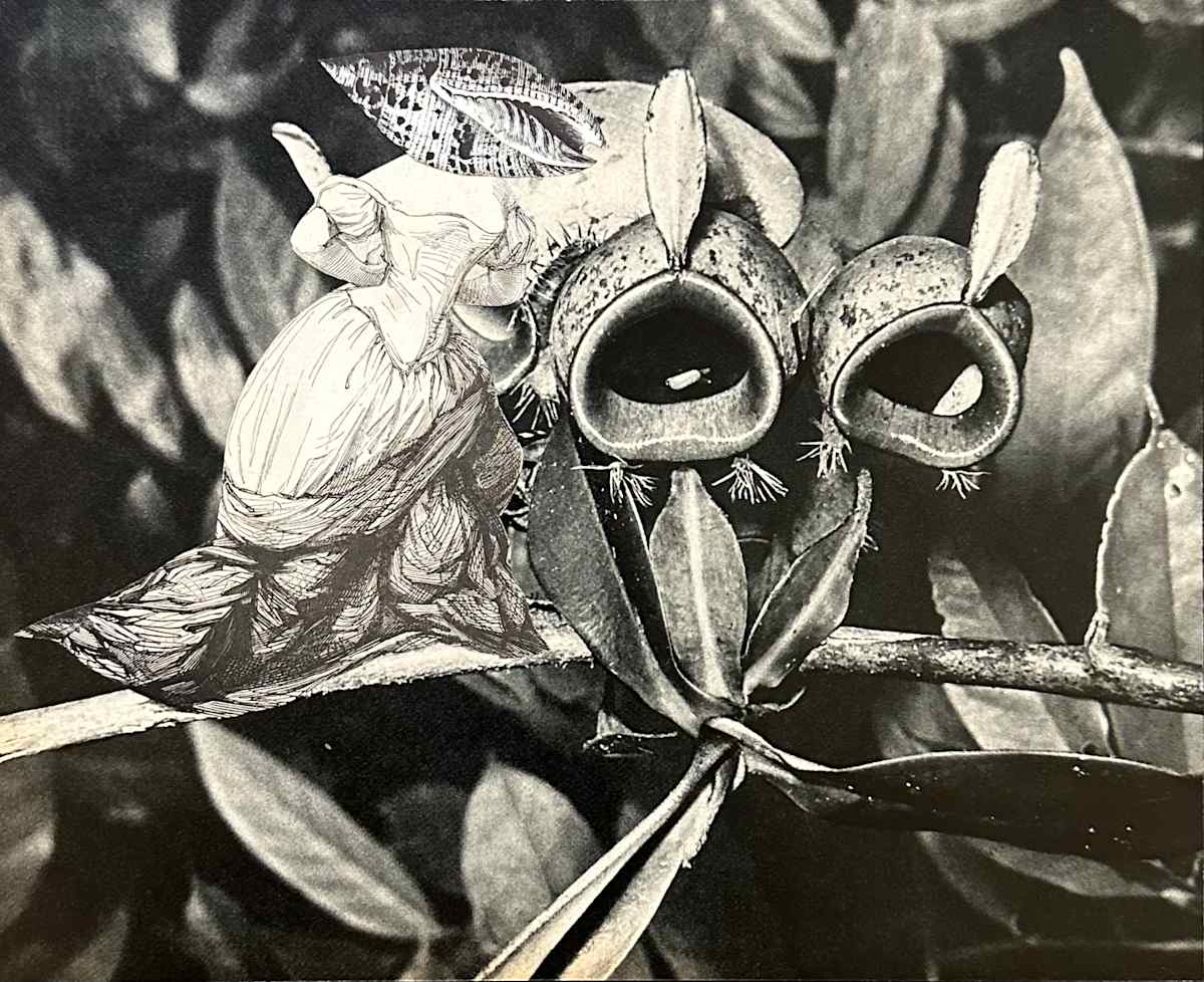 DIE BETÖRUNG by Ariane Severin, Image 4.