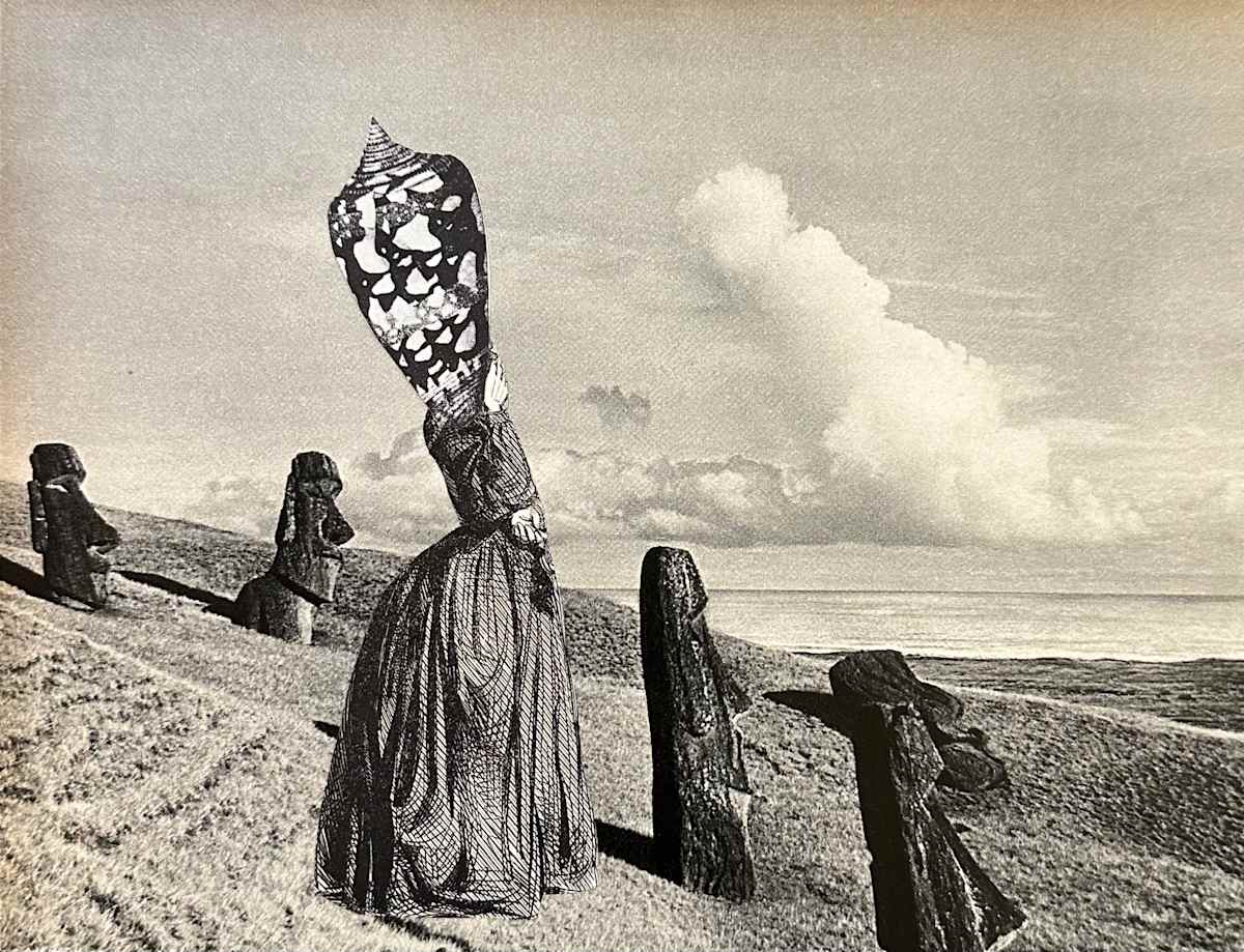 DIE BETRACHTUNG by Ariane Severin | WeegeeWeegee 