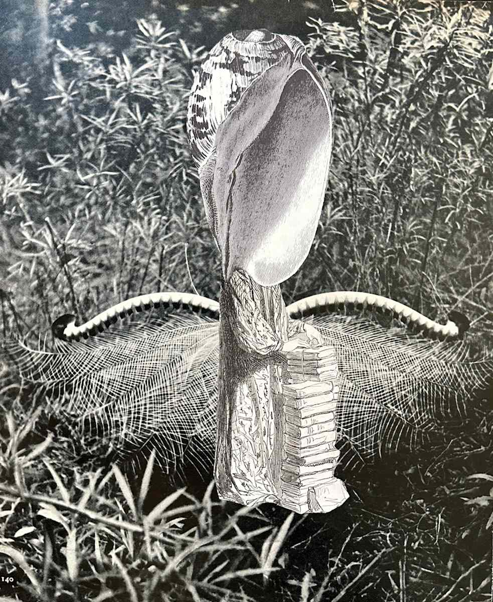 DIE BEFÜRCHTUNG by Ariane Severin, Image 3.