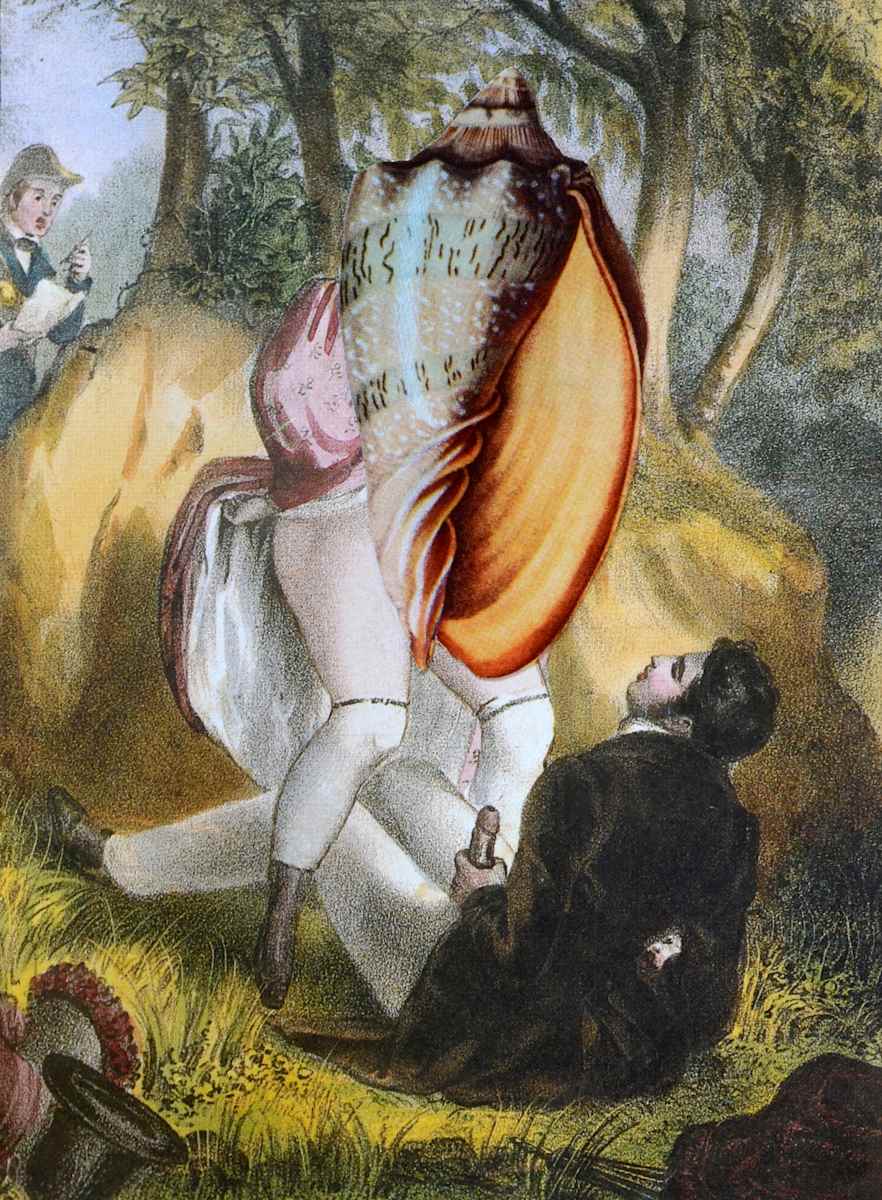 MOLLUSC SUCCUBUS: THE INTERROGATION by Ariane Severin, Image 1.