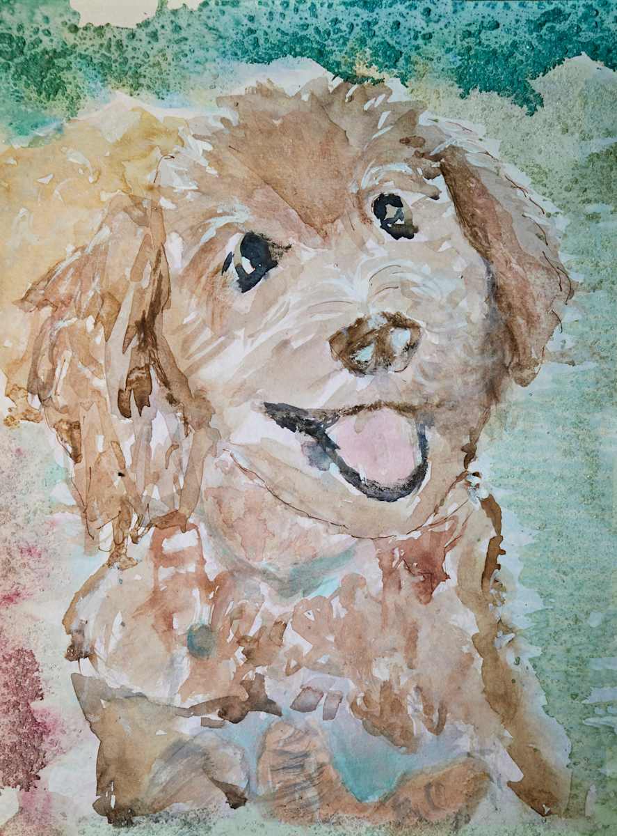 Remy 🐶, Image 1.