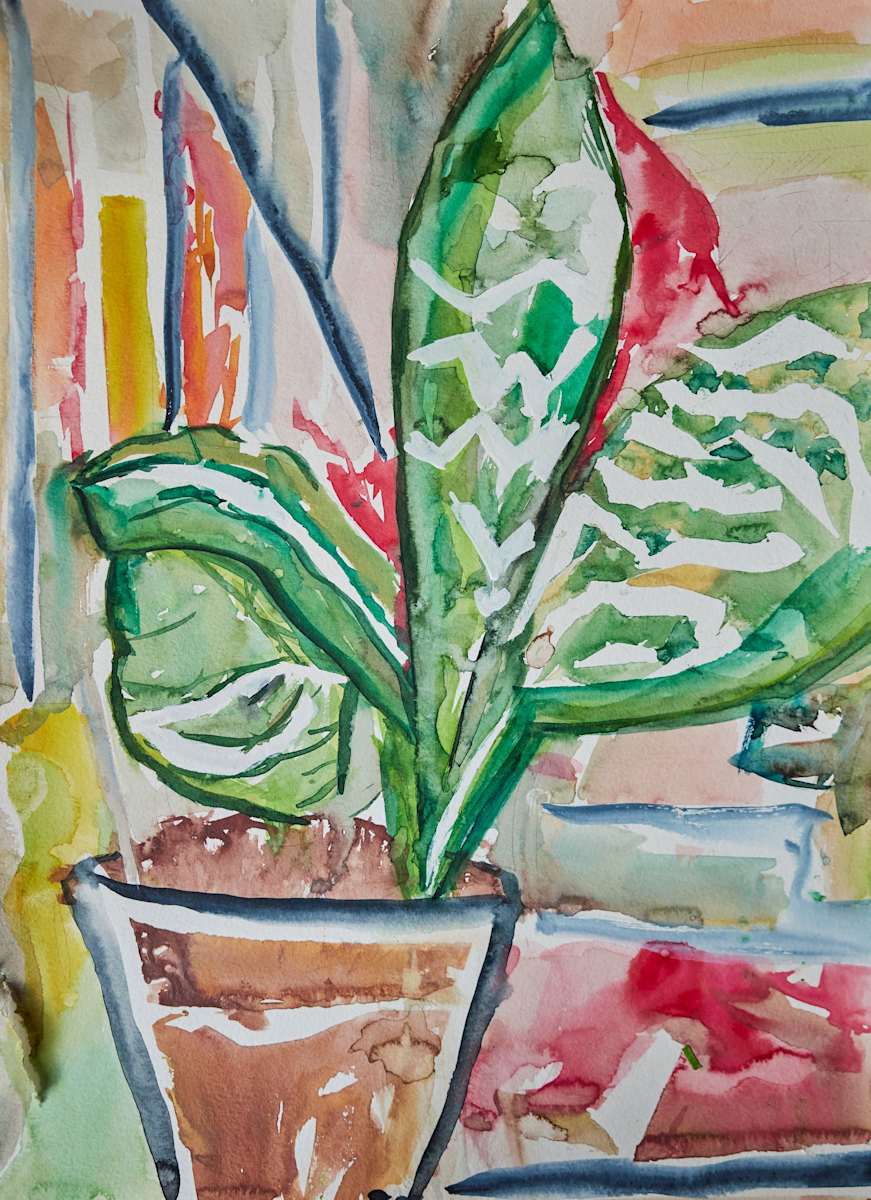 Bloom, Image 3.