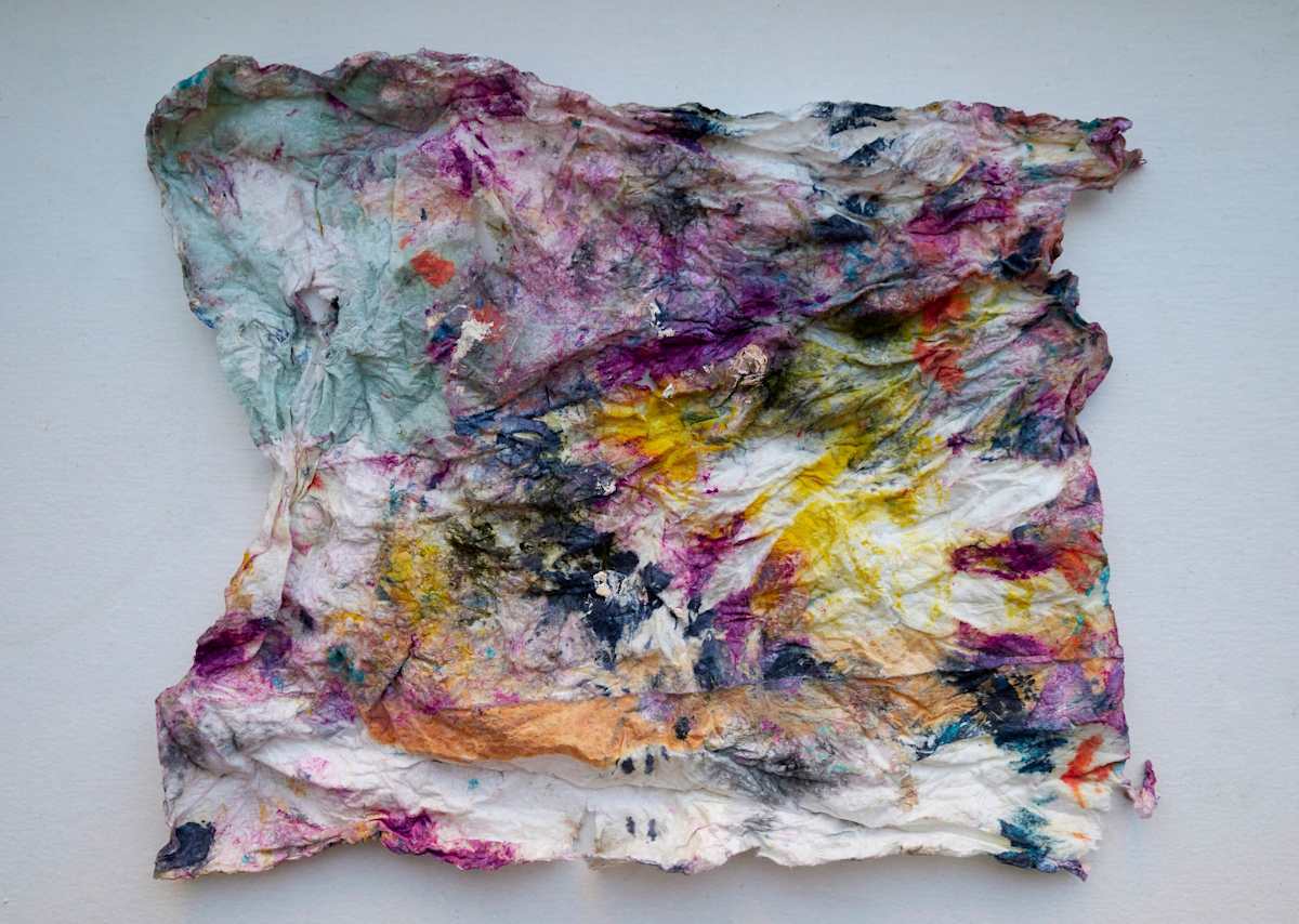 Tissue, Image 5.