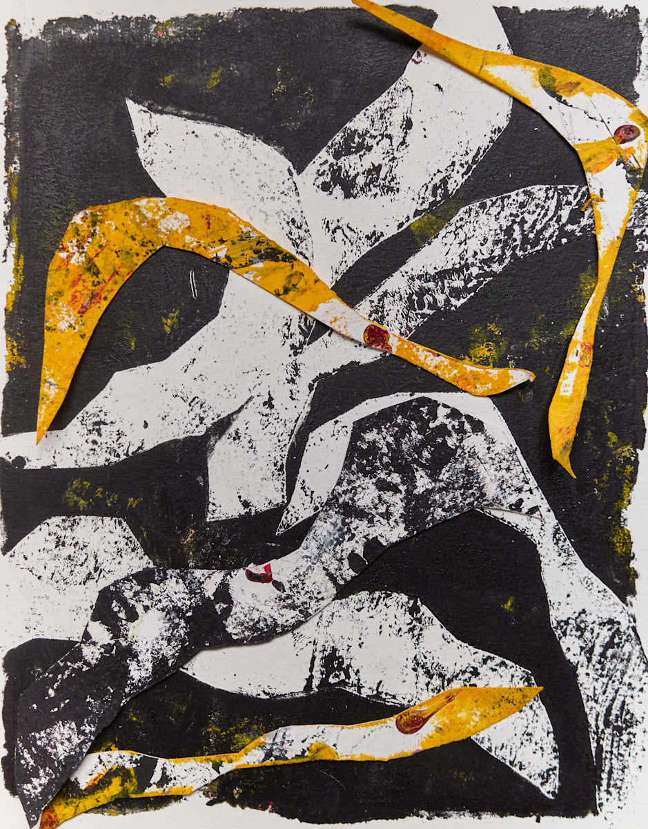 Forest floor by Maku López, Image 2.