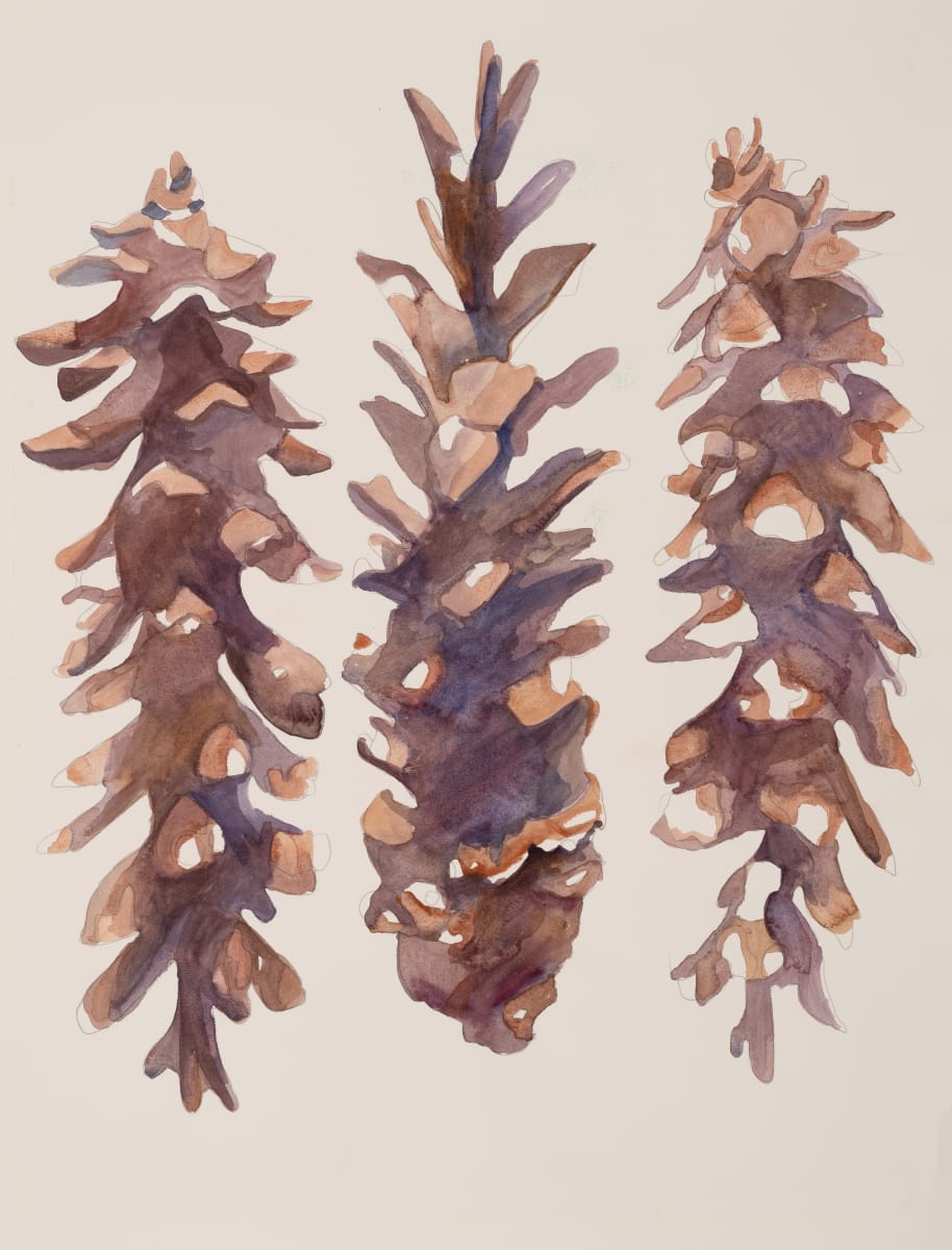 3 Pinecones by Suzy Kopf 