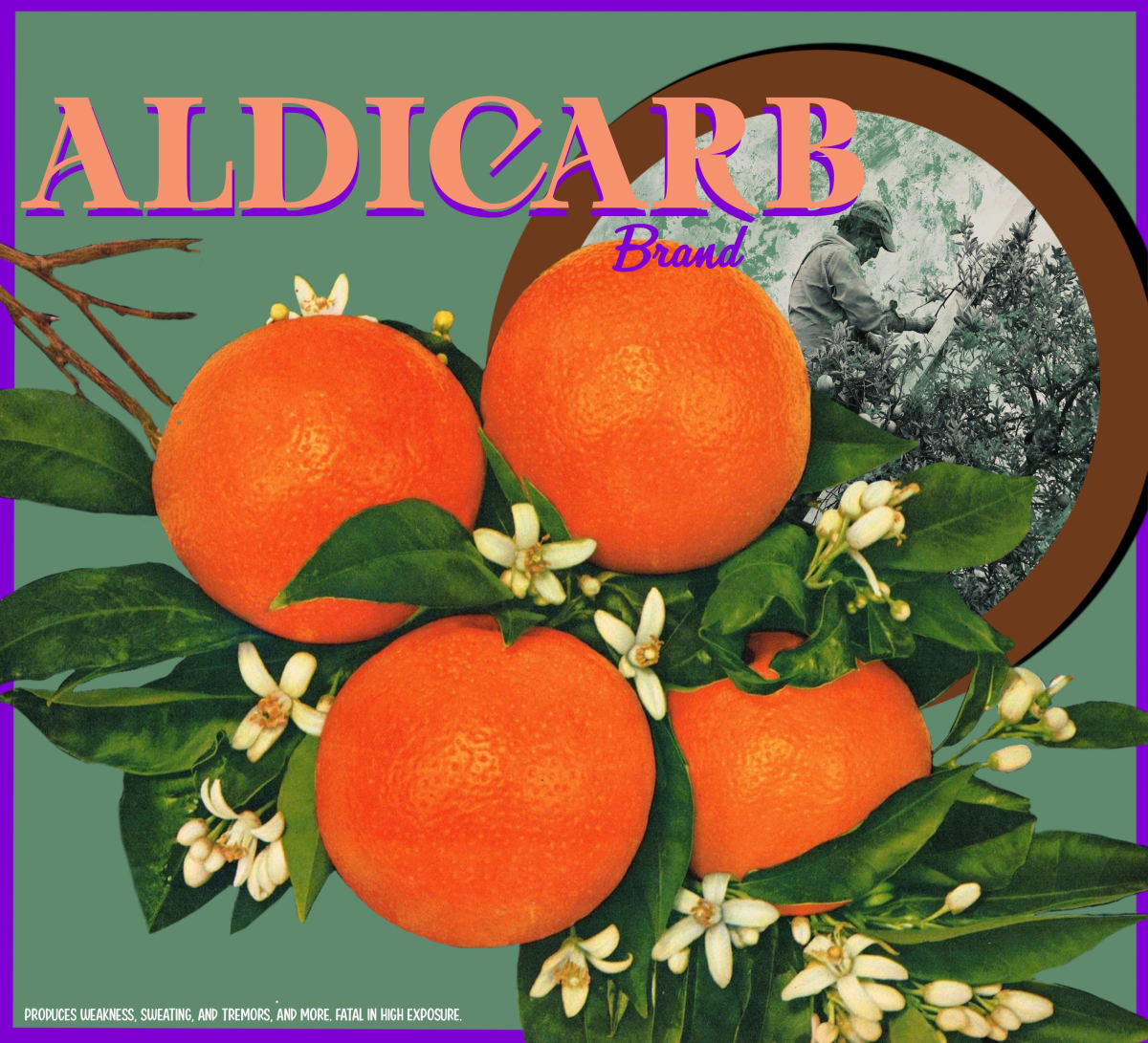 Aldicarb  Image: Aldicarb, 2022, Digital Print, 11”x10”, Edition of 5