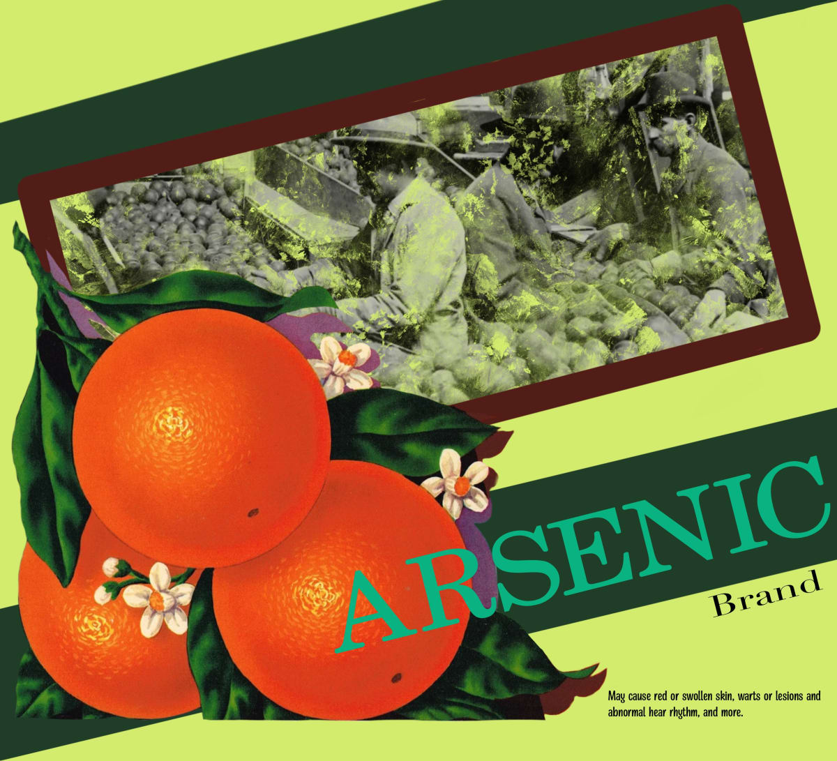 Arsenic  Image: Arsenic, 2022, Digital Print, 11”x10”, Edition of 5