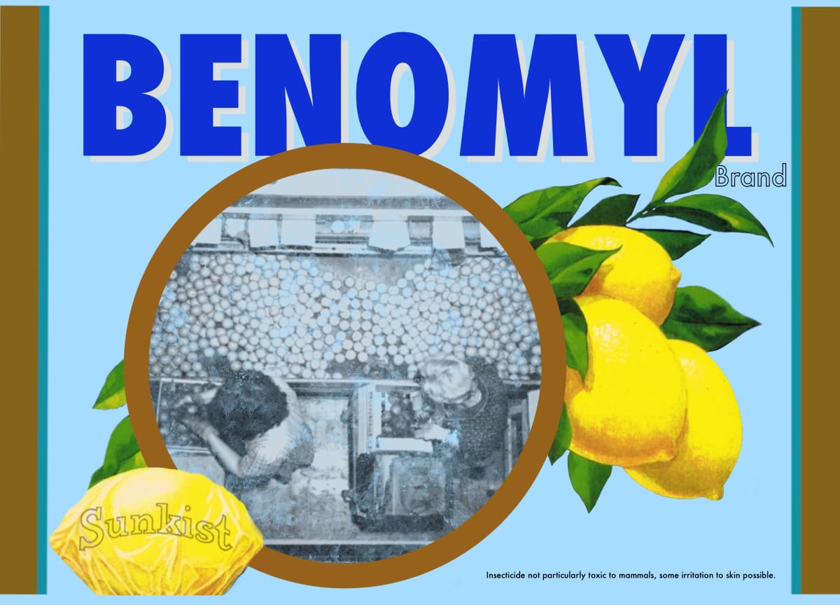 Benomyl  Image: Benomyl, 2022, Digital Print, 12.5”x9”, Edition of 5