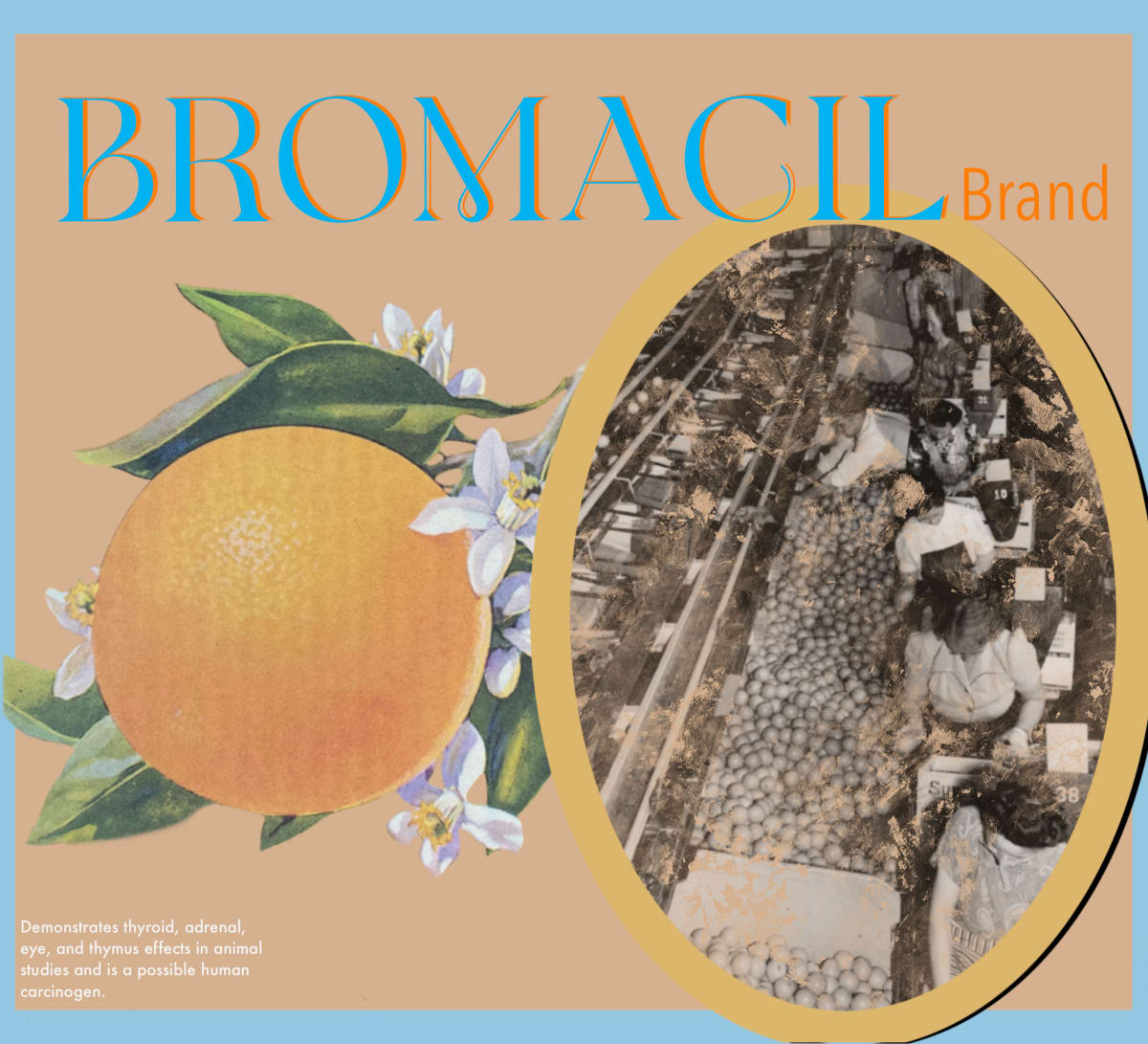 Bromacil  Image: Bromacil, 2022, Digital Print, 11”x10”, Edition of 5