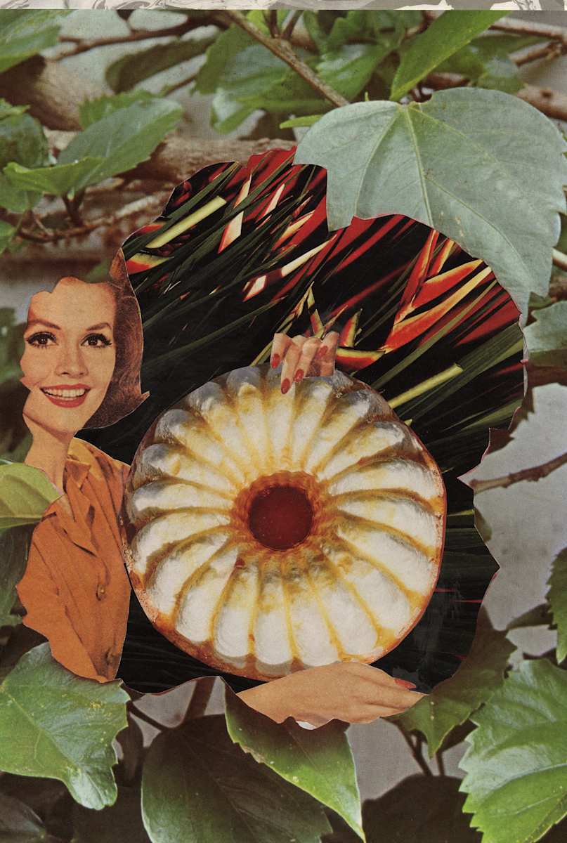 Bundt's Up by Suzy Kopf 