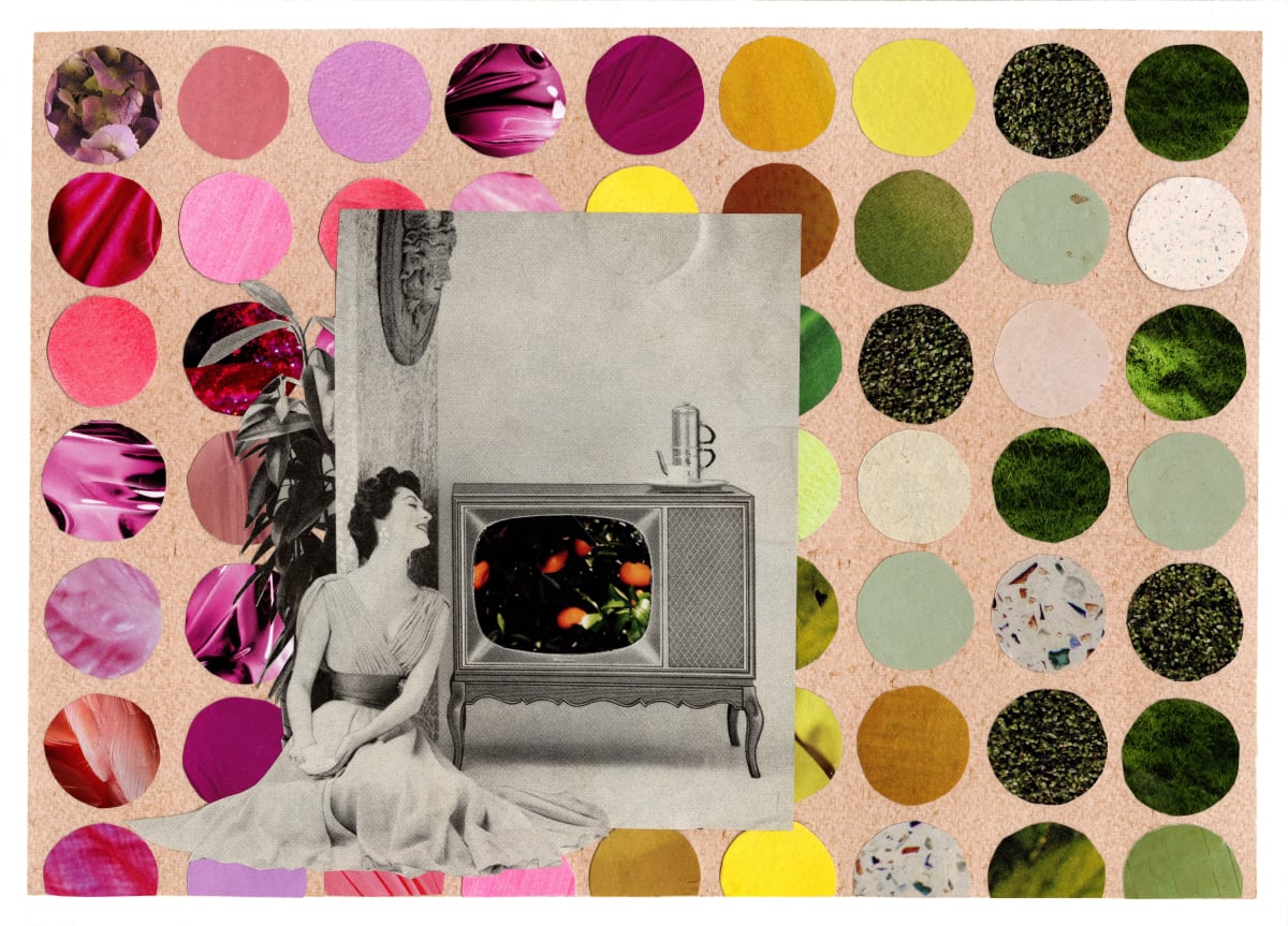 Citrus Gogglebox by Suzy Kopf 