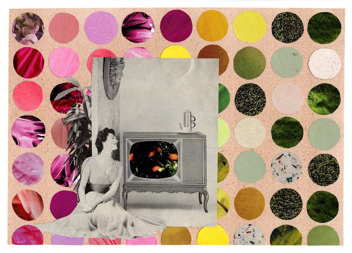 Citrus Gogglebox by Suzy Kopf, Image 1.