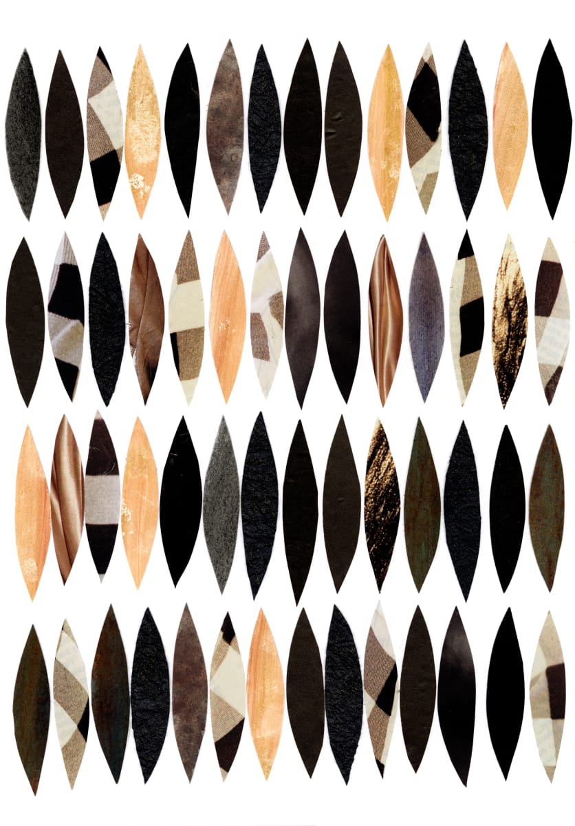 Feathers by Suzy Kopf 