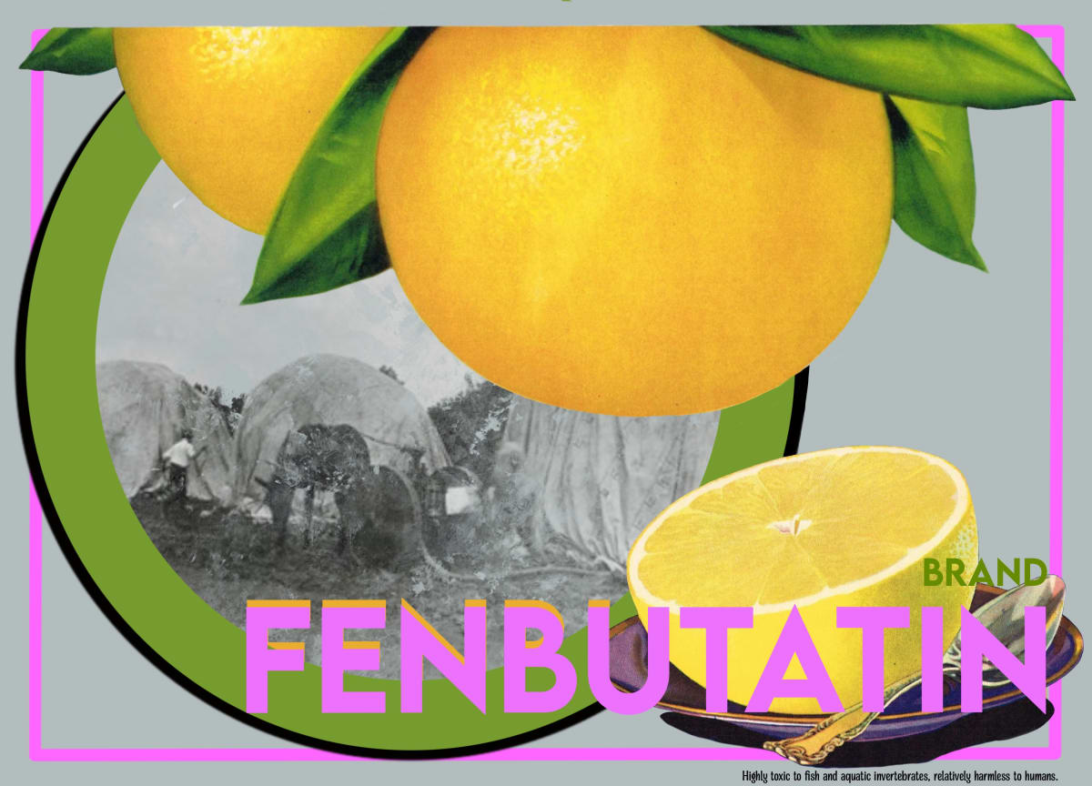Fenbutatin  Image: Fenbutatin, 2022, Digital Print, 12.5”x9”, Edition of 5