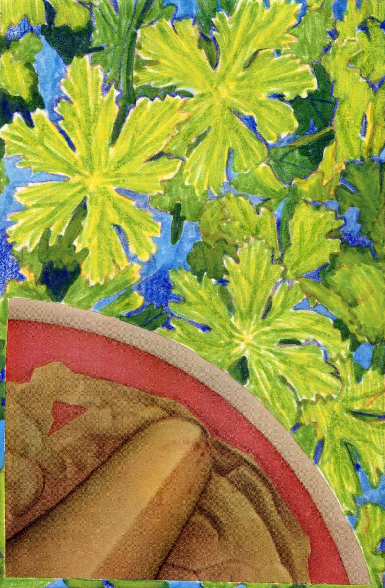 Windflower Pinkerton by Suzy Kopf, Image 6.