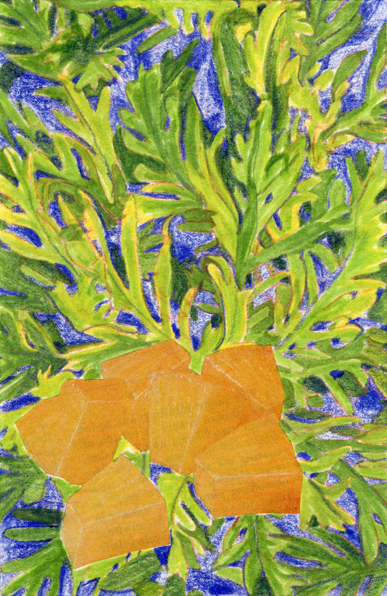 Golden Tidbits by Suzy Kopf 