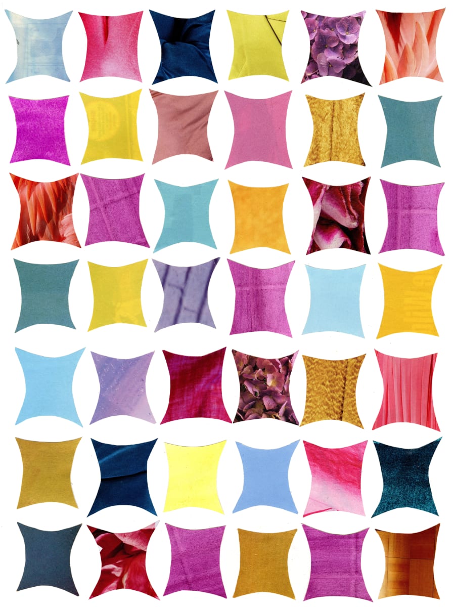 Hides by Suzy Kopf 