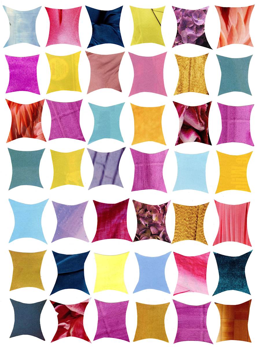 Hides by Suzy Kopf, Image 5.
